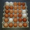 30 stk. æg fra friland, Rettrup Kær Friland