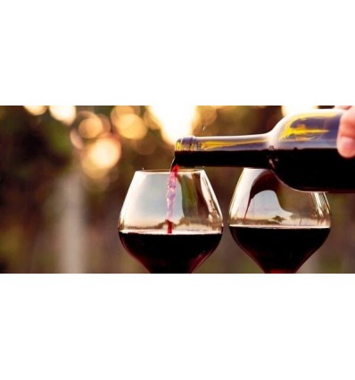 Vinsmagning fredag d. 17 april kl. 19.00 - Portugisiske vine - 299 kr.