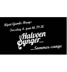 Halvøen Synger, 4. Juni 2026 , billet 1 person