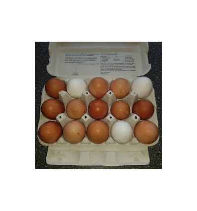 15 friske æg fra frilandshøns, Rettrup Kær Friland
